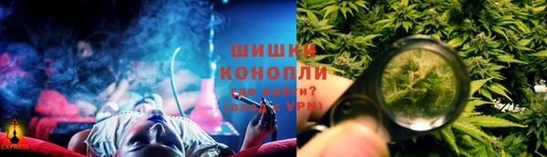 соль ск Белокуриха